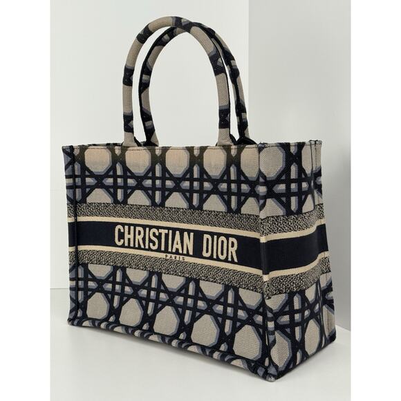 Christian Dior Blue & Neutral Canvas Medium Book Tote Women's Bag - Picture 1 of 13